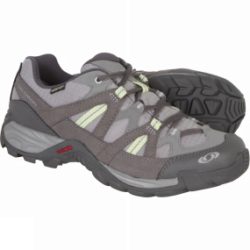 Womens Exode Low GTX Shoe